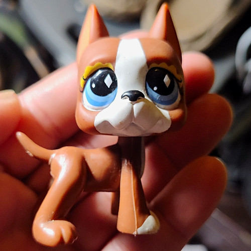 Hasbro littlest pet shop - hasbro, lps