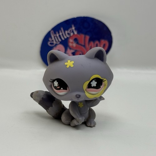 Raccoon 597 authentic - raccoon,
